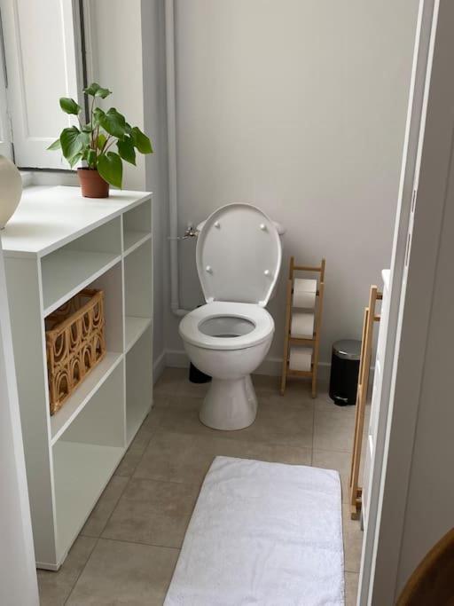 Appartement Plein Centre 里昂 外观 照片