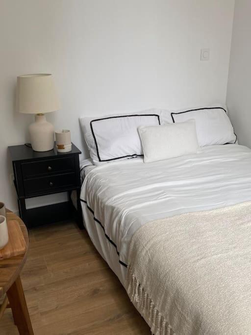 Appartement Plein Centre 里昂 外观 照片